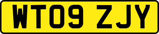 WT09ZJY