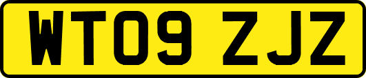 WT09ZJZ