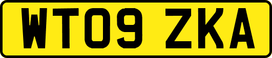 WT09ZKA