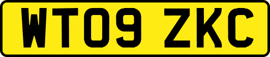 WT09ZKC