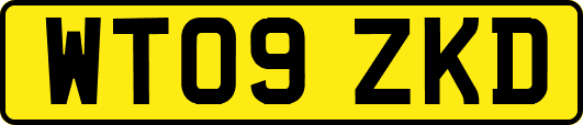 WT09ZKD