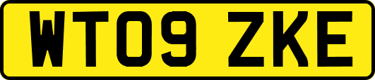 WT09ZKE