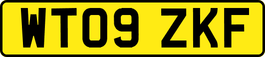 WT09ZKF
