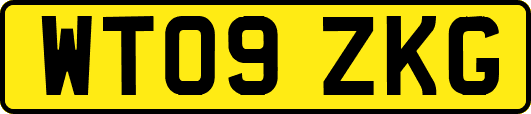 WT09ZKG