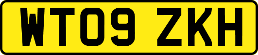 WT09ZKH