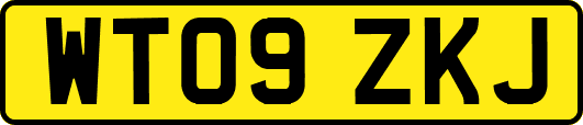 WT09ZKJ