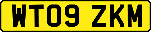 WT09ZKM