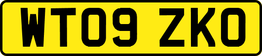 WT09ZKO