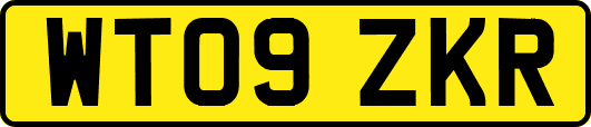 WT09ZKR