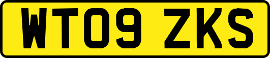 WT09ZKS