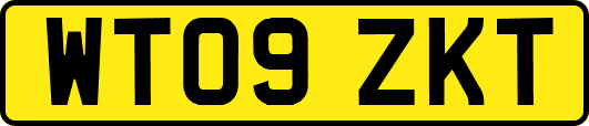 WT09ZKT