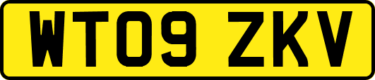 WT09ZKV