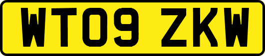 WT09ZKW