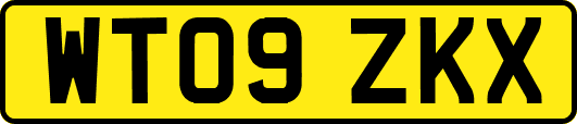 WT09ZKX