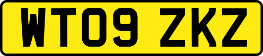 WT09ZKZ