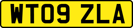 WT09ZLA
