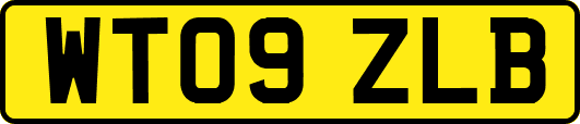 WT09ZLB