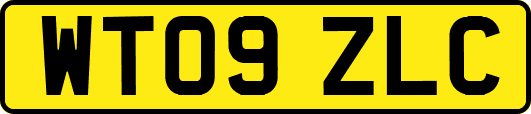 WT09ZLC