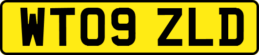 WT09ZLD