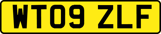 WT09ZLF