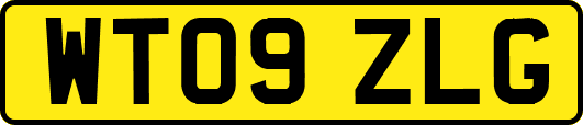 WT09ZLG