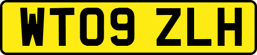 WT09ZLH