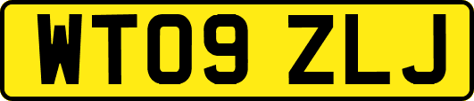 WT09ZLJ