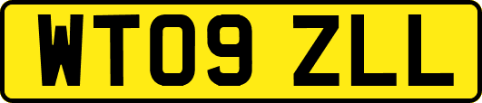 WT09ZLL