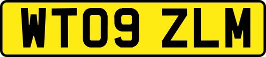 WT09ZLM