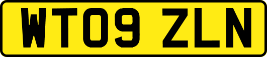 WT09ZLN