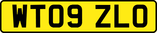 WT09ZLO