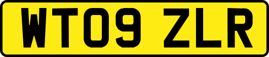 WT09ZLR