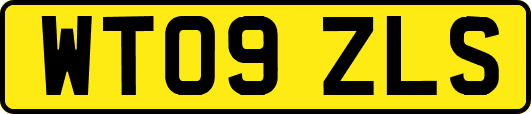WT09ZLS