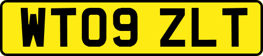 WT09ZLT