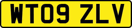 WT09ZLV