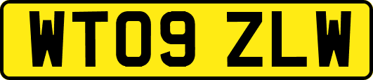 WT09ZLW
