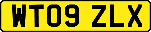 WT09ZLX