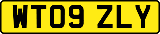 WT09ZLY