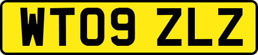 WT09ZLZ