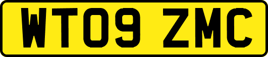 WT09ZMC