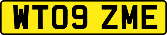 WT09ZME