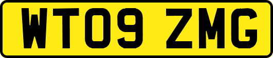 WT09ZMG