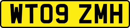 WT09ZMH