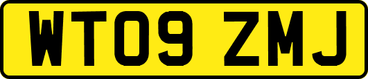 WT09ZMJ