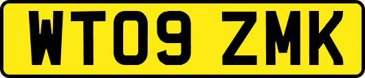 WT09ZMK