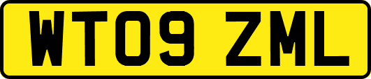 WT09ZML