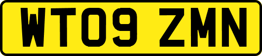 WT09ZMN