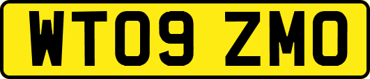 WT09ZMO