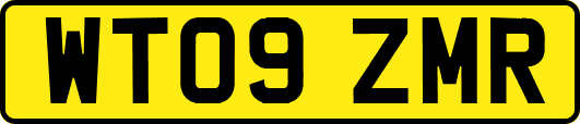 WT09ZMR