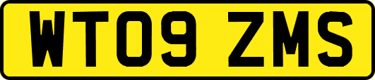 WT09ZMS